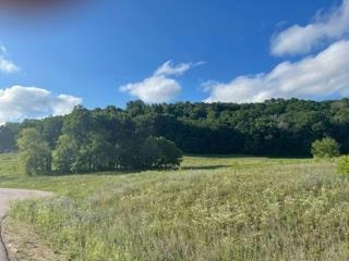LOT 2 PHEASANT TRAIL, RICHLAND CENTER, WI 53581, photo 5 of 8