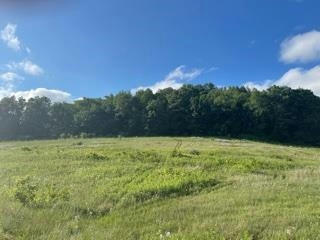 LOT 5 PHEASANT TRAIL, RICHLAND CENTER, WI 53581, photo 5 of 8