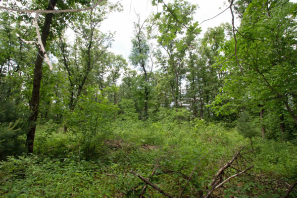 LOT13 SPRUCE, SPRING GREEN, WI 53588, photo 4 of 20