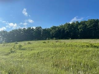 LOT 5 PHEASANT TRAIL, RICHLAND CENTER, WI 53581, photo 2 of 8