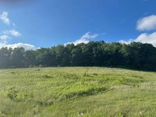 LOT 10 PHEASANT TRAIL, RICHLAND CENTER, WI 53581, photo 5 of 8