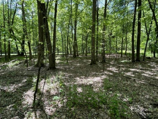 LOT 23 SOUTH BADGER LANE, ARKDALE, WI 54613, photo 3 of 11