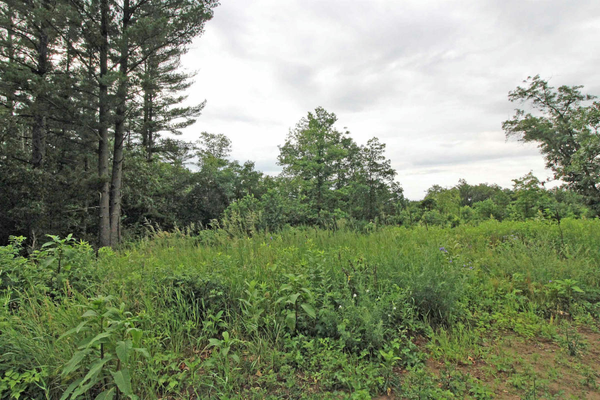 LOT8 SPRUCE, SPRING GREEN, WI 53588, photo 1 of 27
