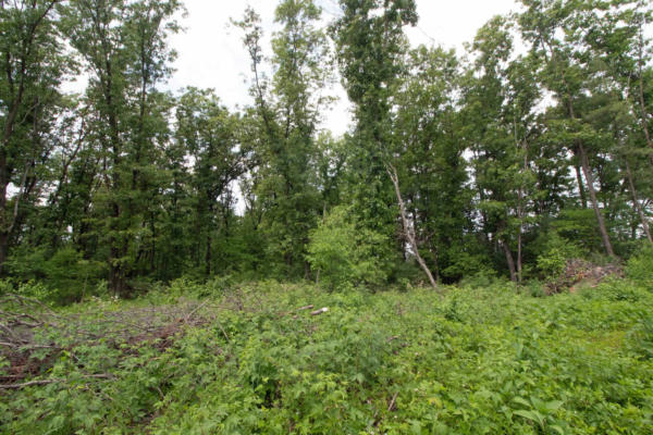 LOT13 SPRUCE, SPRING GREEN, WI 53588, photo 3 of 20