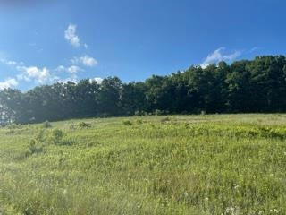 LOT 10 PHEASANT TRAIL, RICHLAND CENTER, WI 53581, photo 4 of 8