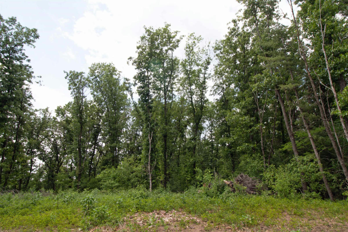 LOT13 SPRUCE, SPRING GREEN, WI 53588, photo 1 of 20