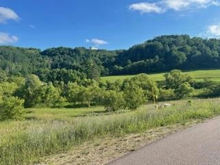 LOT 5 PHEASANT TRAIL, RICHLAND CENTER, WI 53581, photo 4 of 8
