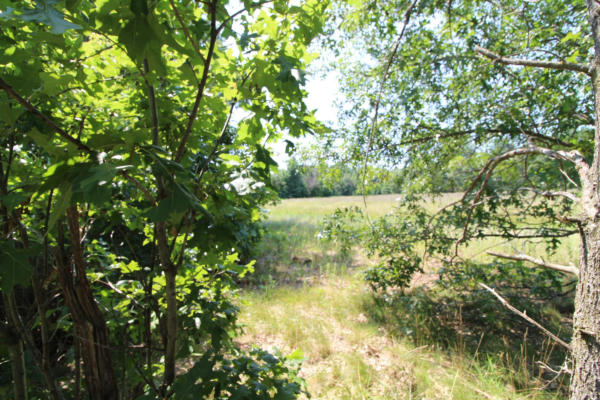 LOT19 TIMBER TRAIL, SPRING GREEN, WI 53588 - Image 1