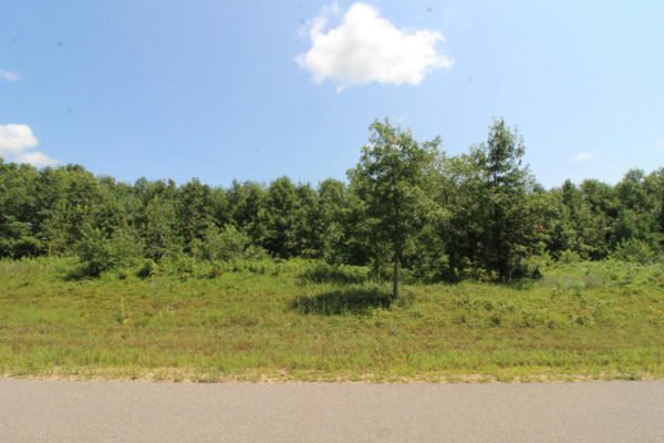 L1 WHITE PINE, SPRING GREEN, WI 53588 - Image 1