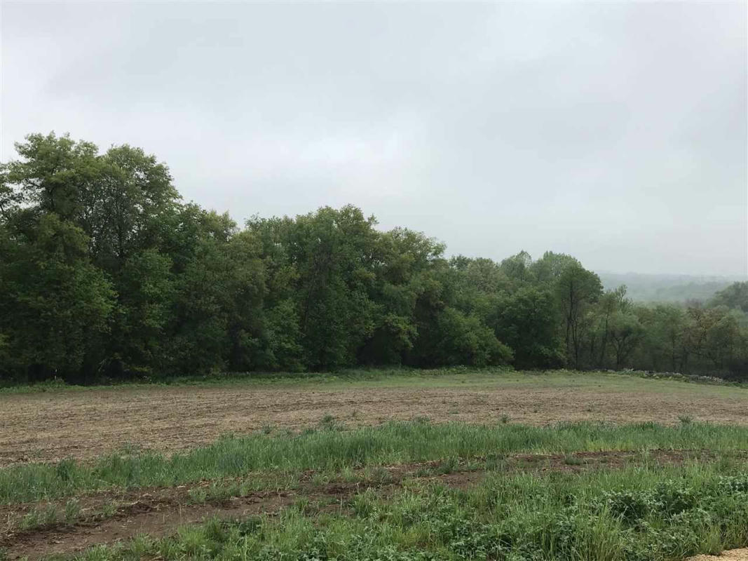 LOT 10 RIDGE POINT, MINERAL POINT, WI 53565, photo 1 of 2