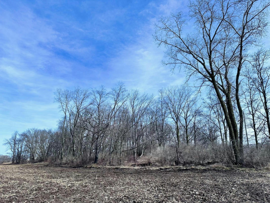 LOT 1 CSM 16080 CLARKSON ROAD, MARSHALL, WI 53559, photo 1 of 4