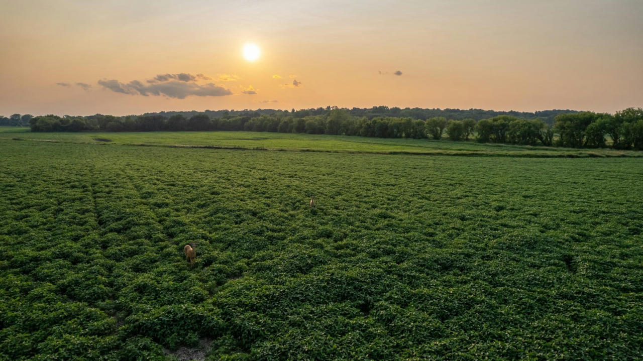 147 M/L ACRES HOPE ROAD, COTTAGE GROVE, WI 53527, photo 1 of 45