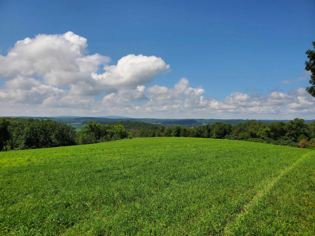 13.88 AC BLACKBERRY ROAD, BLACK EARTH, WI 53515, photo 1 of 2