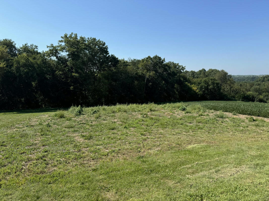 LOT 10 MURPHY ROAD, MINERAL POINT, WI 53565, photo 1 of 15