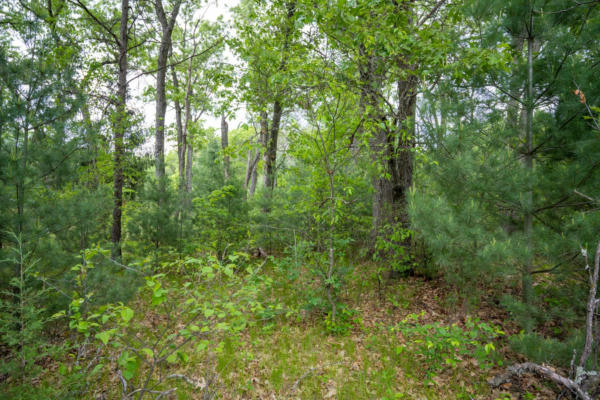LOT 36 FAWN COURT, GRAND MARSH, WI 53936 - Image 1