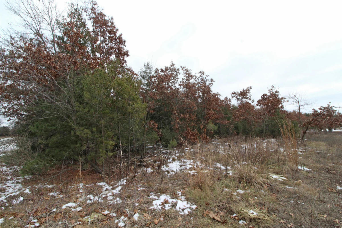 L1 WHITE PINE, SPRING GREEN, WI 53588, photo 1 of 18