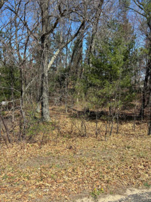 LOT 71 N BADGER DRIVE, ARKDALE, WI 54613, photo 2 of 3