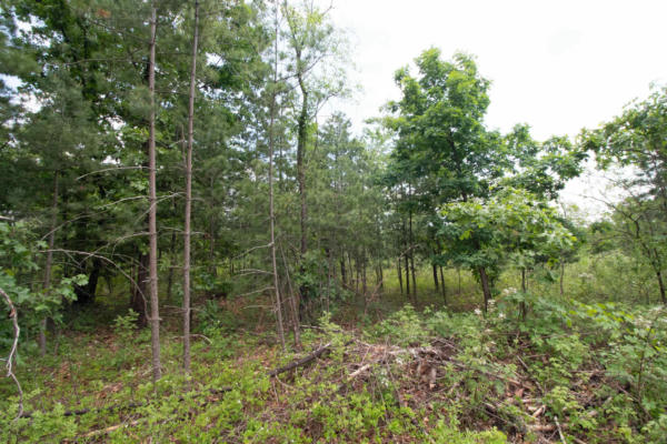 LOT8 SPRUCE, SPRING GREEN, WI 53588 - Image 1
