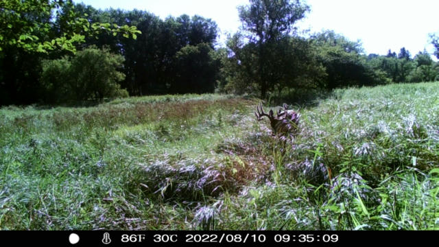 165 ACRES COUNTY ROAD W, UNION CENTER, WI 53962, photo 2 of 53
