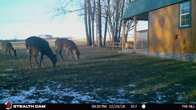 22196 LOST RIDGE LN, GAYS MILLS, WI 54631, photo 5 of 34