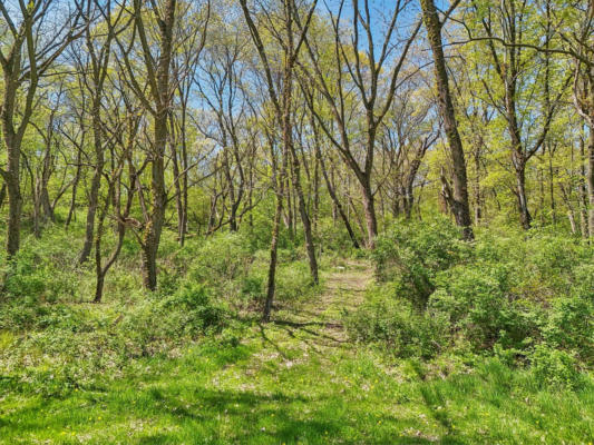 LOT 1 COUNTY ROAD P, MOUNT HOREB, WI 53572, photo 2 of 25