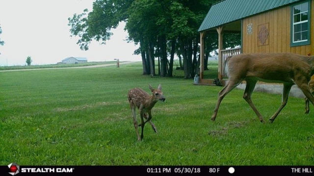 22196 LOST RIDGE LN, GAYS MILLS, WI 54631, photo 4 of 34