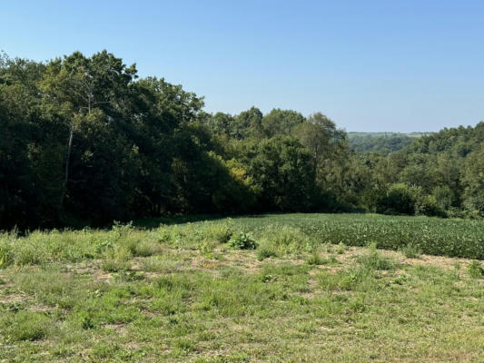 LOT 10 MURPHY ROAD, MINERAL POINT, WI 53565, photo 2 of 15