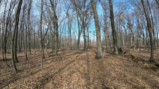 73+/- ACRES GERMANTOWN ROAD, NEW LISBON, WI 53950, photo 4 of 49
