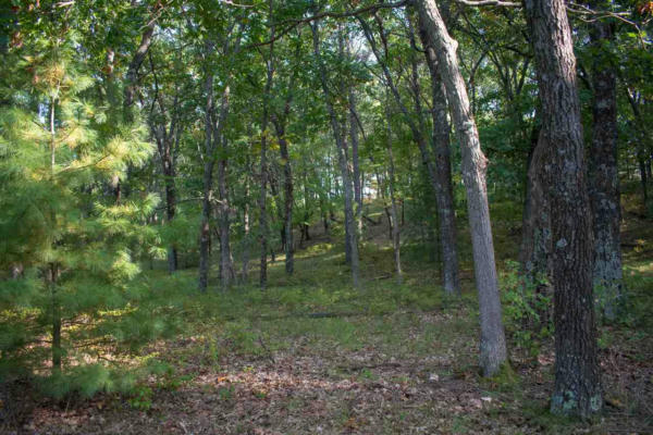 N7109 TIMBER RIDGE LN, MAUSTON, WI 53948, photo 2 of 13