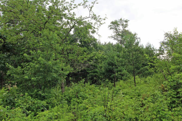 LOT8 SPRUCE, SPRING GREEN, WI 53588, photo 2 of 27