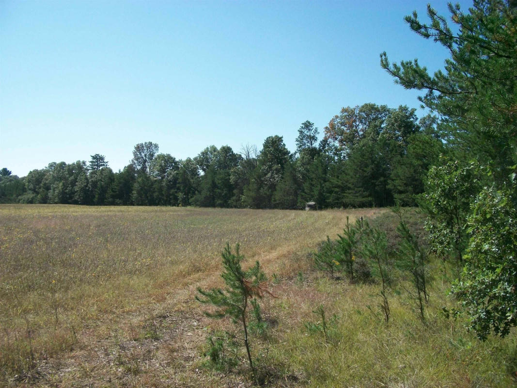 38 ACRES 18TH ST, NECEDAH, WI 54646, photo 1 of 23