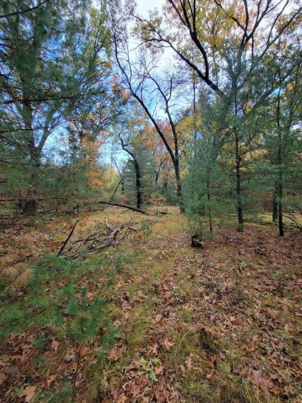 LOT 55 19TH CREEK, ARKDALE, WI 54613, photo 1 of 22