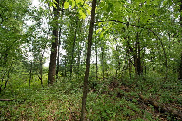 LOT13 SPRUCE, SPRING GREEN, WI 53588, photo 5 of 20