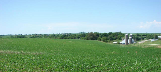 212.5 ACRES COUNTY ROAD H, BLANCHARDVILLE, WI 53516, photo 4 of 21