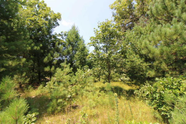 LOT20 TIMBER TRAIL, SPRING GREEN, WI 53588 - Image 1