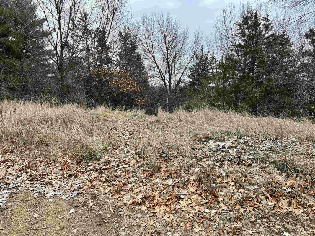 LOT 29 SUMMIT DRIVE, PARDEEVILLE, WI 53954, photo 1 of 13