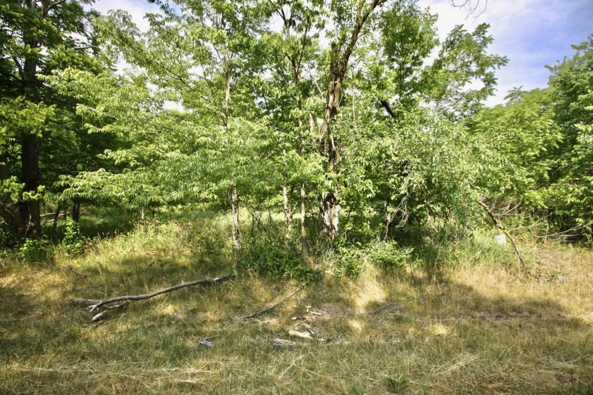 LOT 1 S HABORN DRIVE, BELOIT, WI 53511, photo 1 of 3