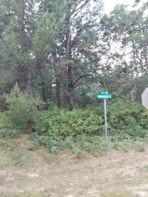 LOT 21 N DUCK CREEK COURT, ADAMS, WI 53910 - Image 1