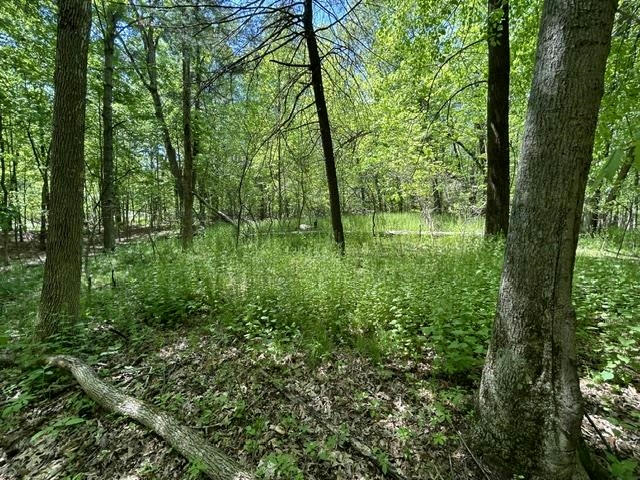 LOT 23 SOUTH BADGER LANE, ARKDALE, WI 54613, photo 1 of 11
