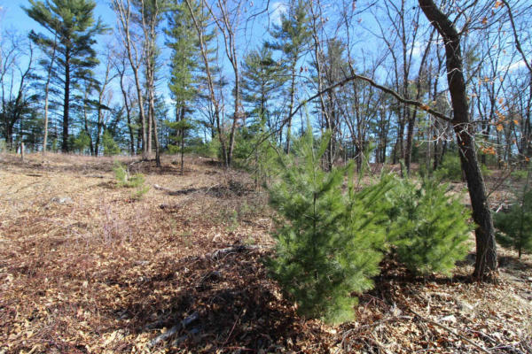 LOT14 TIMBER TRAIL, SPRING GREEN, WI 53588, photo 5 of 18