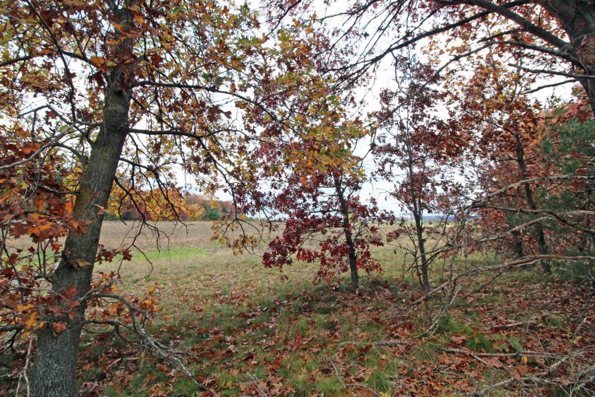 LOT20 TIMBER TRAIL, SPRING GREEN, WI 53588, photo 1 of 27