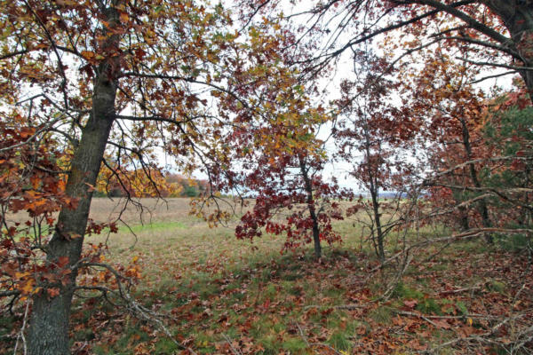 LOT20 TIMBER TRAIL, SPRING GREEN, WI 53588 - Image 1