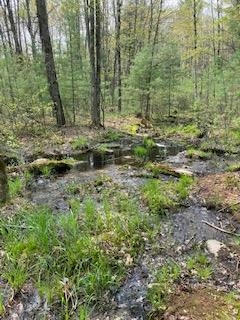 120 ACRES COUNTY ROAD Y, STEVENS POINT, WI 54481, photo 3 of 6