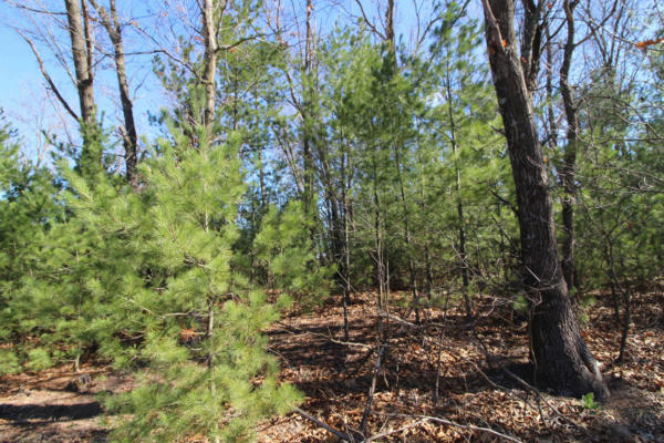LOT14 TIMBER TRAIL, SPRING GREEN, WI 53588 - Image 1
