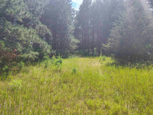 LOT 114 COUNTY ROAD Z, ARKDALE, WI 54613 - Image 1