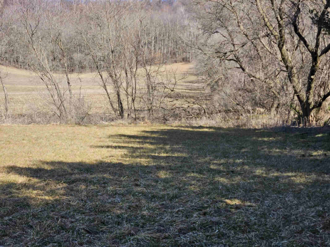 123.5 +/- ACRES HELL HOLLOW ROAD, RICHLAND CENTER, WI 53581, photo 1 of 69