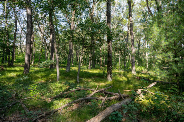 10.45 ACRES COLLEEN DRIVE, LYNDON STATION, WI 53944 - Image 1