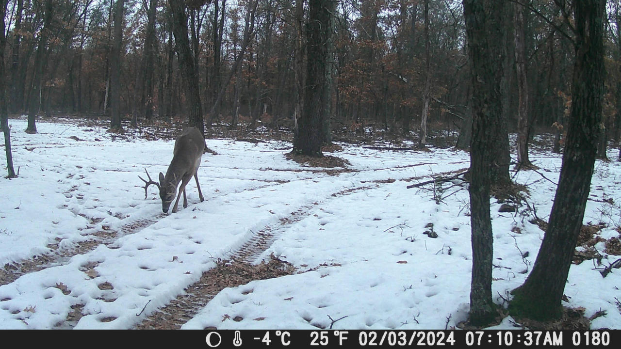 N9346 LOT A HIGHWAY 80, NECEDAH, WI 53646, photo 1 of 87