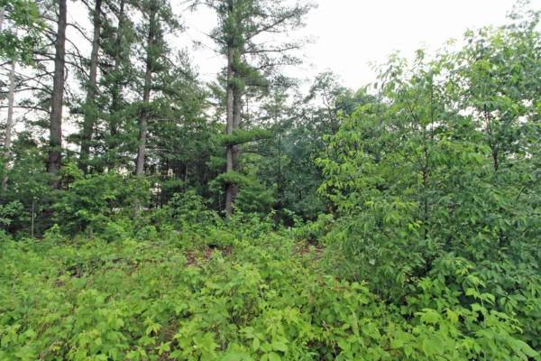 LOT8 SPRUCE, SPRING GREEN, WI 53588, photo 3 of 27