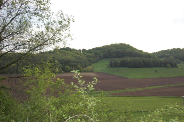 10.81AC FIDDLERS GREEN ROAD, RICHLAND CENTER, WI 53581 - Image 1